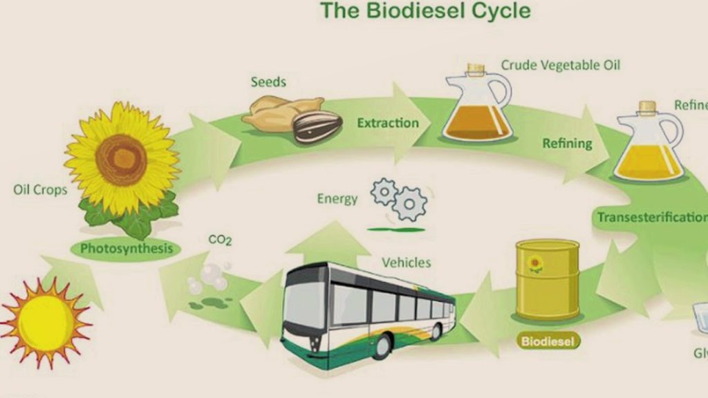 Исследования в разработке биотоплива нового поколения